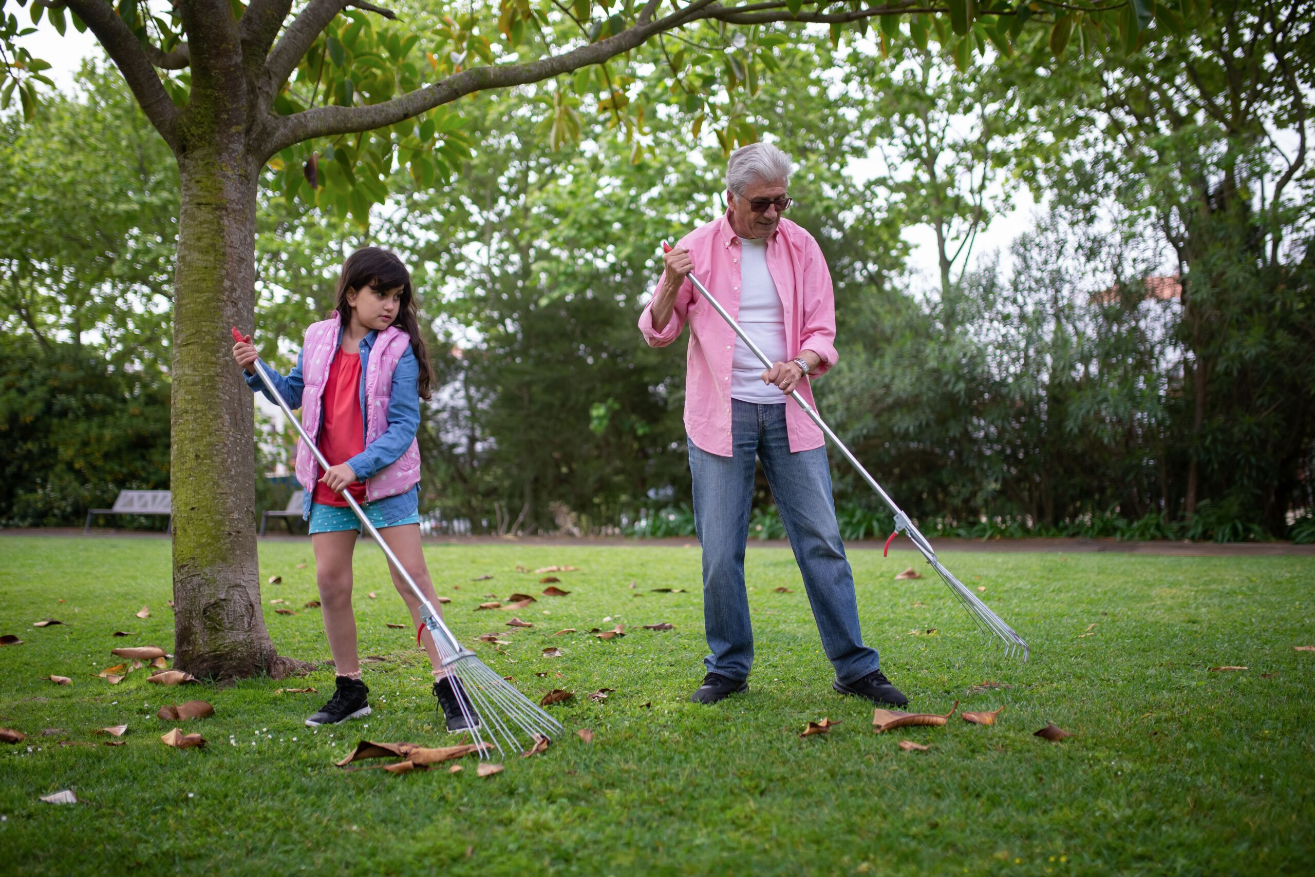 Raking leaves in the yard — fall yard-work back pain prevention, Saint Paul Park MN